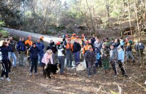 Na Dobrovljah posekali 130 let staro smreko 1